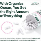 Organics Ocean Magnesio Glicinato Puro con Zinc - Suplemento de Magnesio Quelado de Máxima Potencia para Mujeres y Hombres, Ayuda contra Calambres Musculares y Favorece el Sueño - 6 Frascos