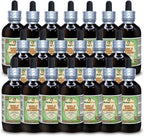 Sang Ji Sheng (Taxillus Chinensis) Tintura de Tallo Seco - 60 ml