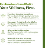Extracto Líquido de Melisa (Melissa officinalis) – Gotas sin Alcohol – Vegano, No-GMO, Sin Gluten – Suplemento Herbal de Alta Potencia para la Relajación y el Apoyo Cognitivo – 30ml / 1oz