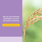Natural Factors Pharma GABA - 60 Cápsulas Vegetarianas