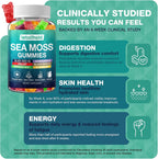 Sea Moss Gummies con Ashwagandha, Bladderwrack y Burdock Root - 60 Gominolas Veganas (2 Envases)
