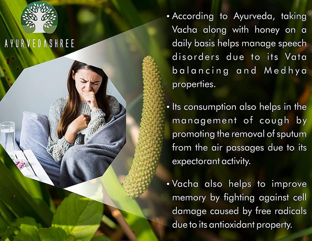 Polvo de Cálamo (Acorus Calamus) 200g - AYURVEDASHREE