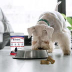 Pawfetto Suplemento Avanzado para el Césped para Perros – 70 Golosinas masticables