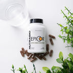 NutraBio Epicor Multivitamínico, 500mg, 60 Cápsulas Vegetales