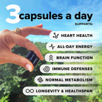 Complement Essential Multivitamínico Vegano para Hombres y Mujeres – 90 Cápsulas