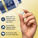 Balanced Vibe Brain Supplement 8 in 1 con Lion's Mane, Bacopa, Rhodiola, Ginkgo para Memoria, Enfoque y Claridad Mental, Sin Estimulantes, Vegano, 90 Cápsulas