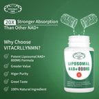 NAD+ Plus Liposomal 800mg - 60 Cápsulas