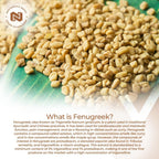 Nootropics Depot Cápsulas de Extracto de Fenogreco | 500 mg | 180 uds | 3% Trigonelina, 1% Protodioscina