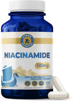 Vykee Nutrition Niacinamida 500 mg - Complemento de Vitamina B3 para el Bienestar de la Piel, Energía Celular y Apoyo Metabólico - Vegano, Sin OGM, Sin Gluten - 120 Cápsulas