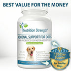 Nutrition Strength Adrenal Support for Dogs - Suplemento Adrenal para Perros, 120 Comprimidos Masticables