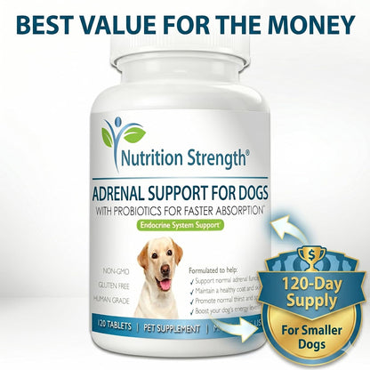 Nutrition Strength Adrenal Support for Dogs - Suplemento Adrenal para Perros, 120 Comprimidos Masticables – Image 4
