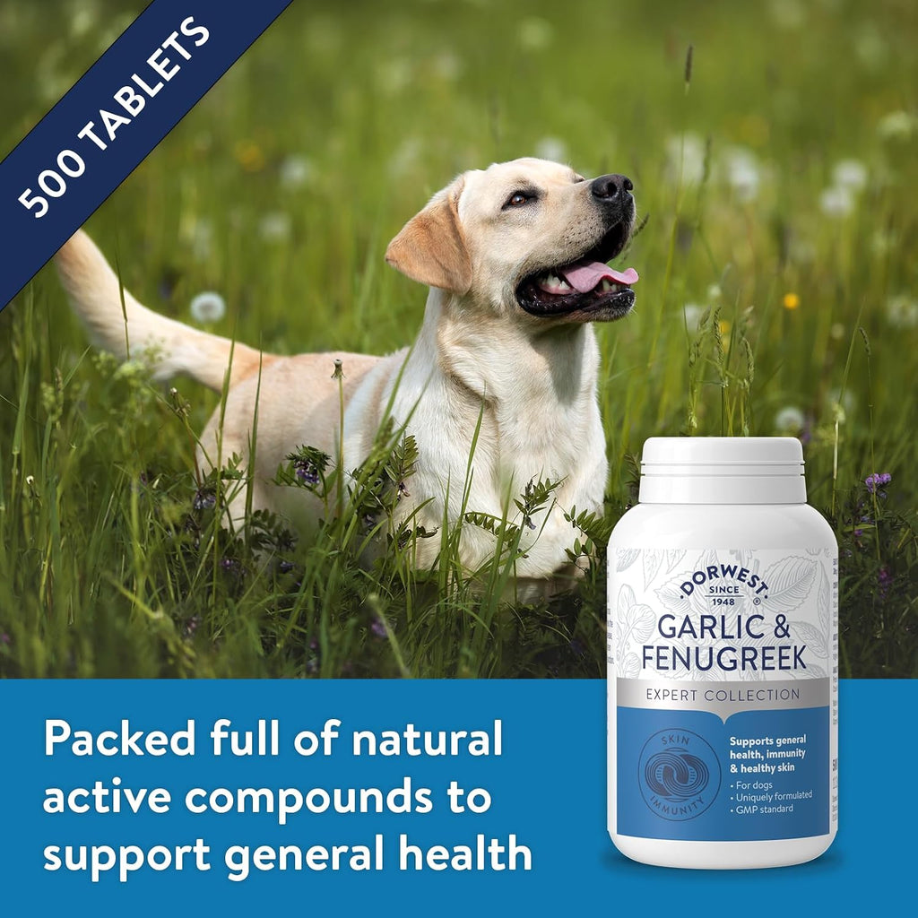 Dorwest Herbs Comprimidos de Ajo y Fenogreco para Perros y Gatos (500 Comprimidos)