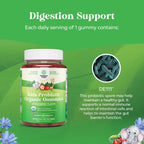 Nature's Craft Probióticos Orgánicos para Niños - Gominolas Digestivas con 2.5B UFC - 60 Gominolas
