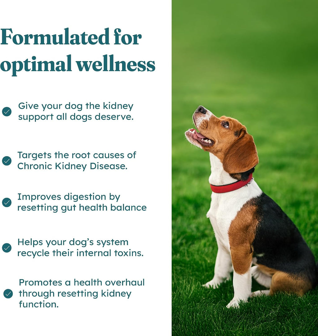 PetHeal Kidney Guard Chews para Perros - Apoyo Renal - 30 Snacks Blandos Sabor Cerdo