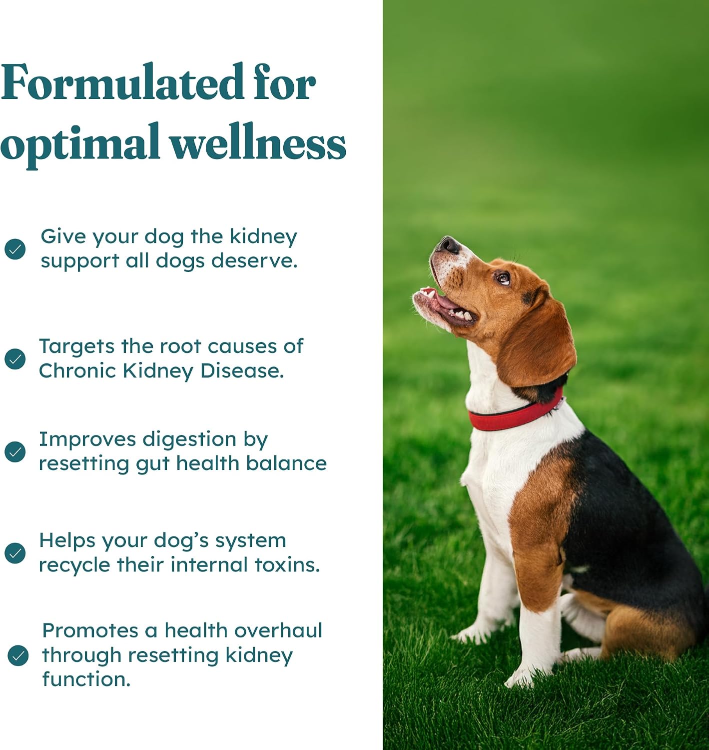 PetHeal Kidney Guard Chews para Perros - Apoyo Renal - 30 Snacks Blandos Sabor Cerdo