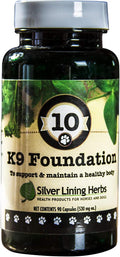 Silver Lining Herbs Foundation - Herbal Supplement for Dogs - 90 Capsules