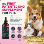 VetriScience DMG Immunity Health Easy-Dose Líquido - Suplemento Inmunitario para Perros y Gatos, Hipoalergénico, 114 ml