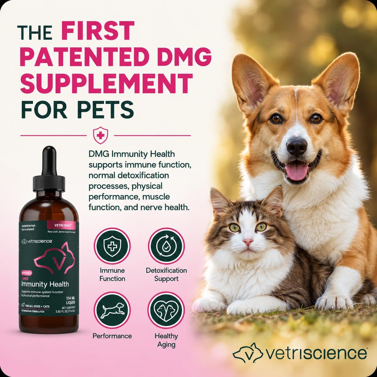 VetriScience DMG Immunity Health Easy-Dose – Apoyo inmunitario: Ayuda a fortalecer las defensas naturales y – Image 9