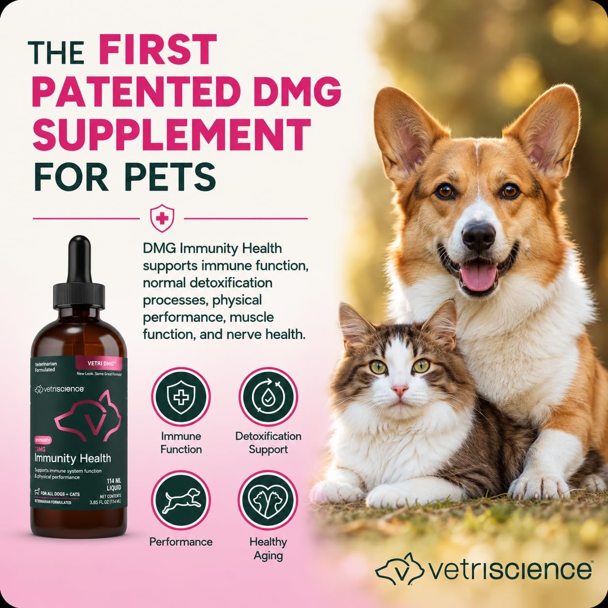 VetriScience DMG Immunity Health Easy-Dose Líquido - Suplemento Inmunitario para Perros y Gatos, Hipoalergénico, 114 ml