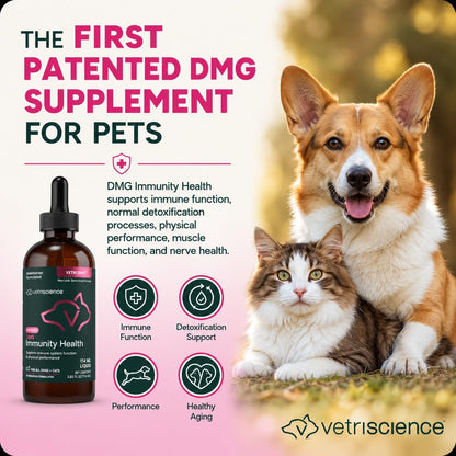 VetriScience DMG Immunity Health Easy-Dose – Apoyo inmunitario: Ayuda a fortalecer las defensas naturales y – Image 9