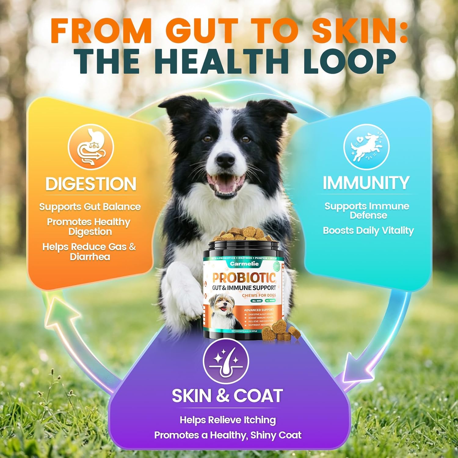 Probióticos para Perros Carmelie - Masticables con Enzimas Digestivas y Prebióticos (Pollo, 200 uds)