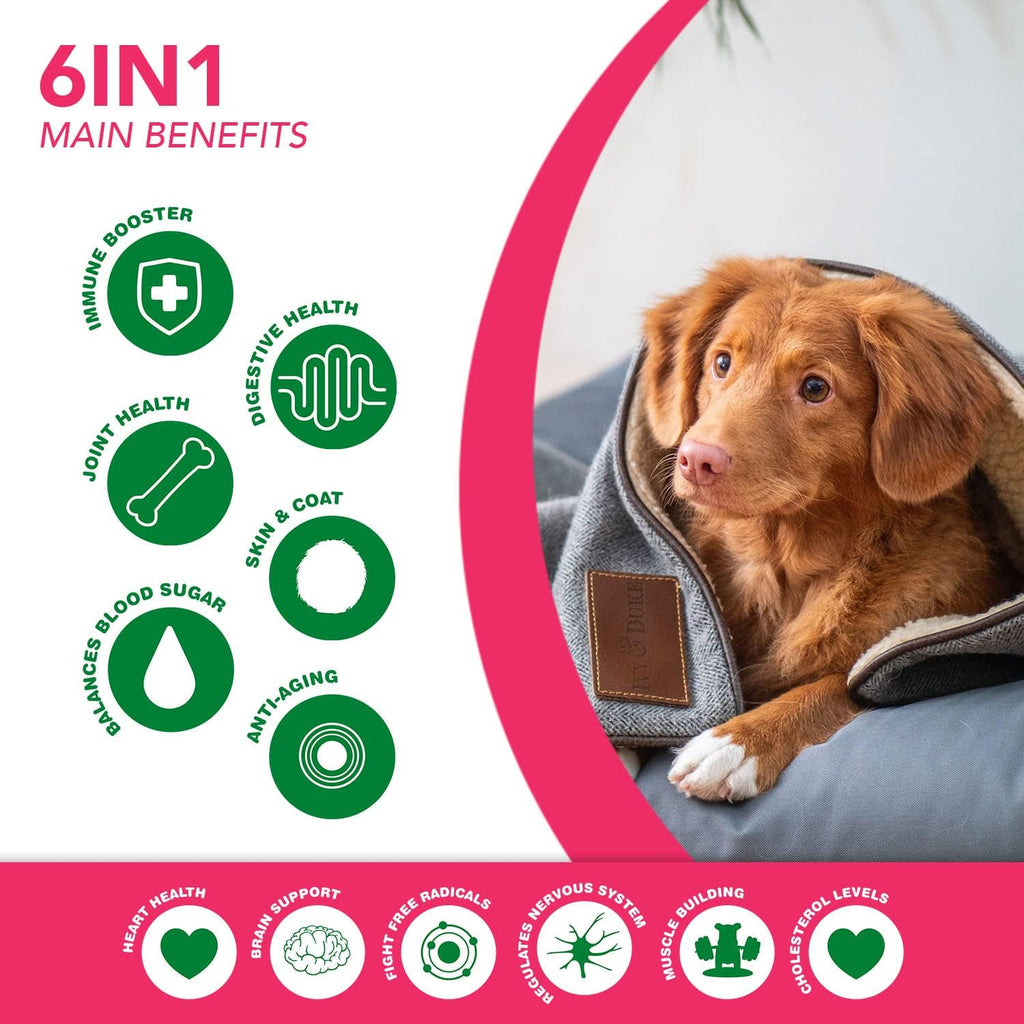 Ruji Naturals 6 en 1 Superfood Complemento para Perros con Moringa Orgánica - 90 Masticables