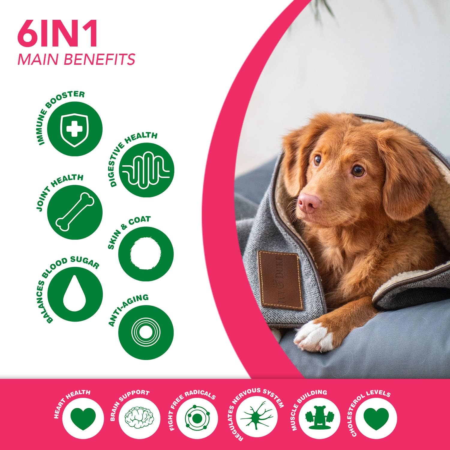 Ruji Naturals 6 en 1 Superfood Complemento para Perros con Moringa Orgánica - 90 Masticables