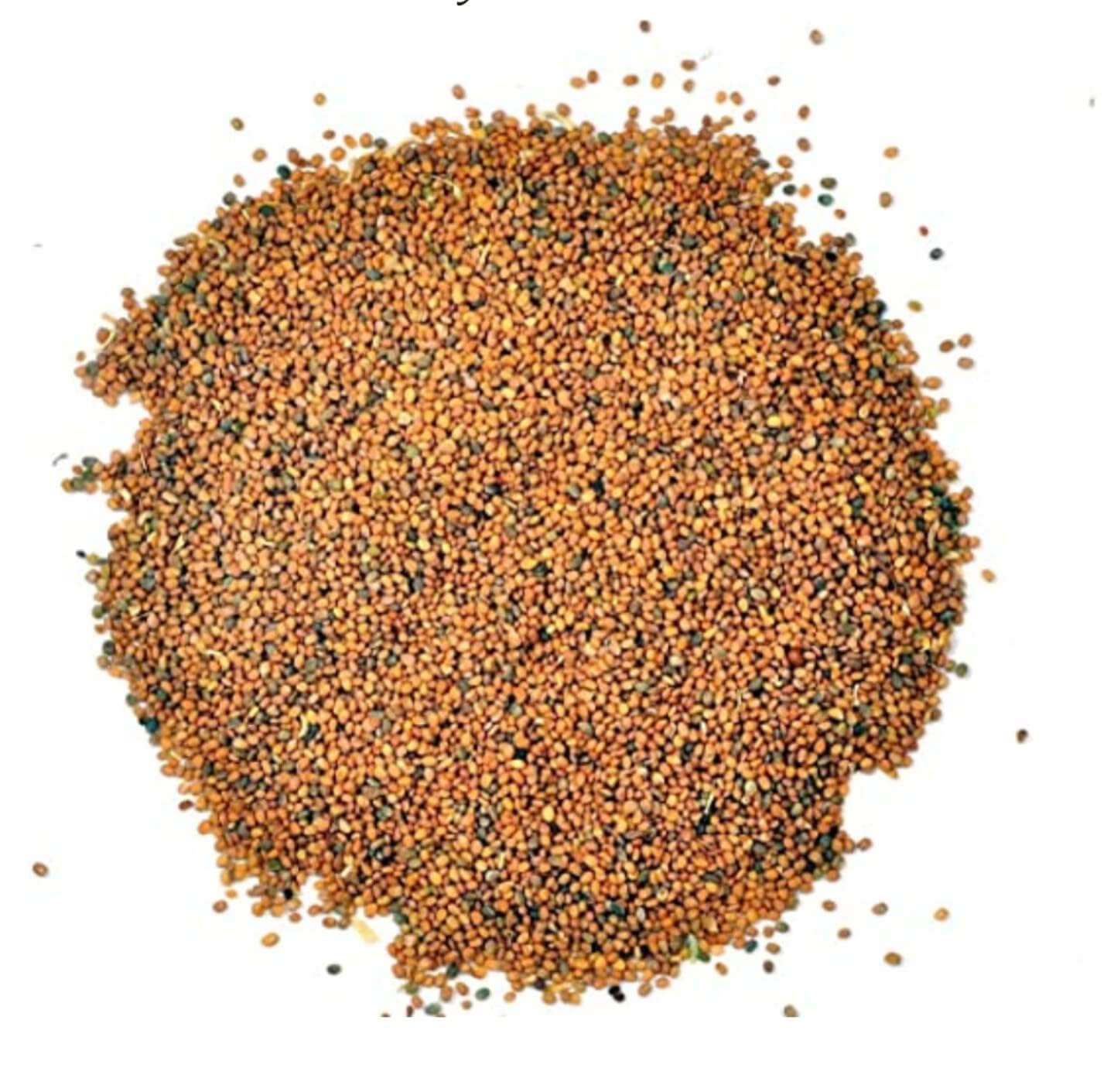 AYURVEM HERBS™ Taramira Beej - Semillas de Rúcula 400g