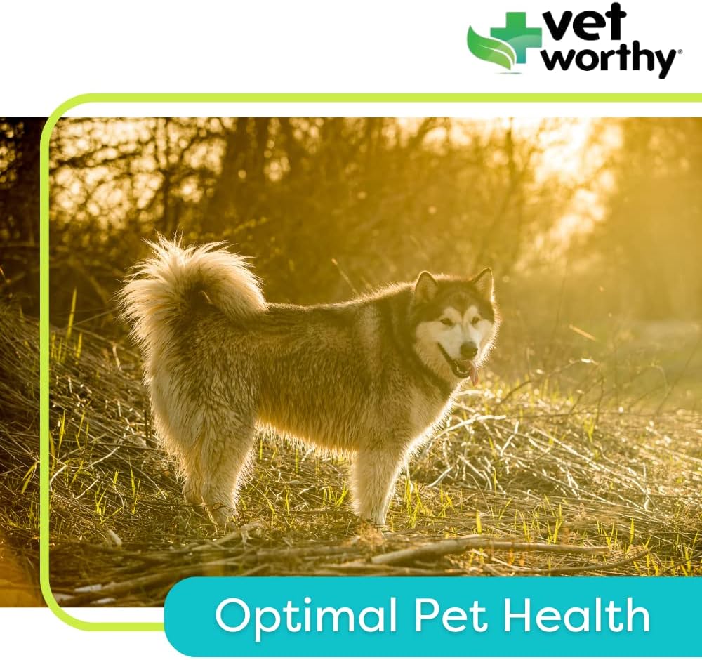 Vet Worthy Adult Multi Vitamins - Multivitamínico para Perros para Apoyar la Salud Óptima y el Bienestar General - Suplemento para Perros con Hierro, Magnesio, Zinc, Vitamina A, Vitaminas del Grupo B - Sabor a Hígado, 60 Comprimidos