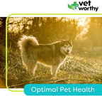 Vet Worthy Adult Multi Vitamins - Multivitamínico para Perros para Apoyar la Salud Óptima y el Bienestar General - Suplemento para Perros con Hierro, Magnesio, Zinc, Vitamina A, Vitaminas del Grupo B - Sabor a Hígado, 60 Comprimidos