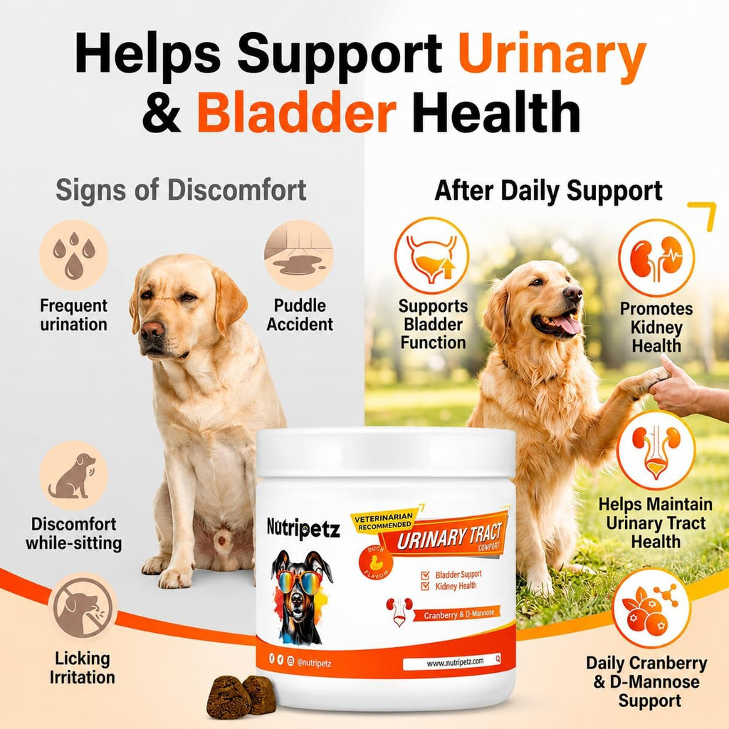 120 Cranberry Supplement for Dogs - Bladder Control for Dogs - Urinary Tract Support - Vitamin B6 & L-Arginine - Cranberry Chews with D-Mannose - Immune & Gut Support