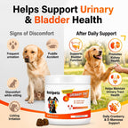 120 Cranberry Supplement for Dogs - Bladder Control for Dogs - Urinary Tract Support - Vitamin B6 & L-Arginine - Cranberry Chews with D-Mannose - Immune & Gut Support