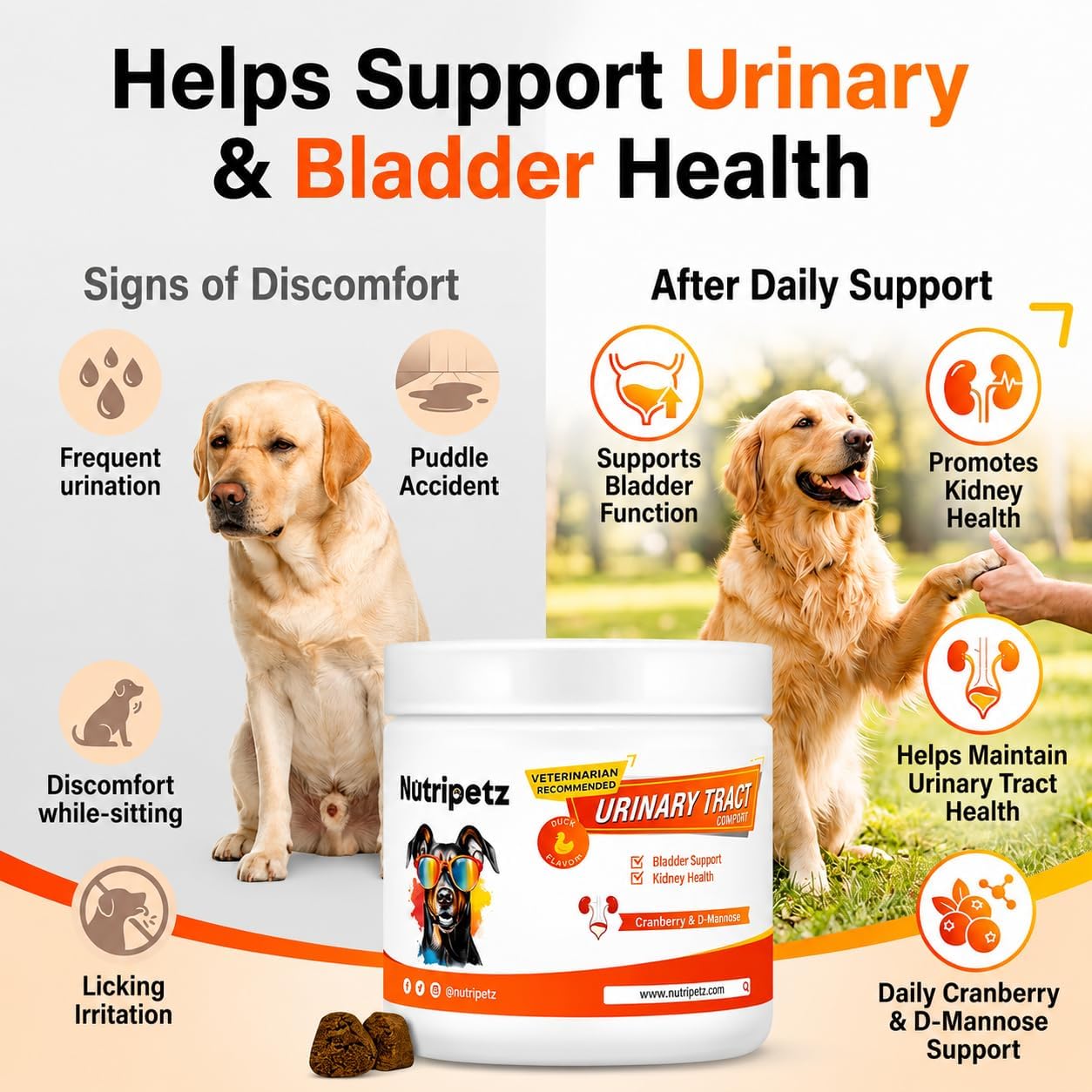 120 Cranberry Supplement for Dogs - Bladder Control for Dogs - Urinary Tract Support - Vitamin B6 & L-Arginine - Cranberry Chews with D-Mannose - Immune & Gut Support