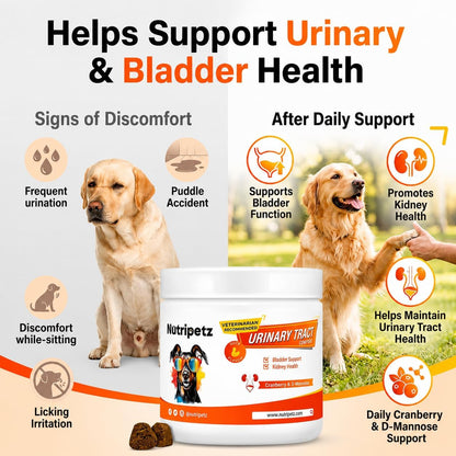 120 Cranberry Supplement for Dogs - Bladder Control for Dogs - Urinary Tract Support - Vitamin B6 & L-Arginine - Cranberry Chews with D-Mannose - Immune & Gut Support