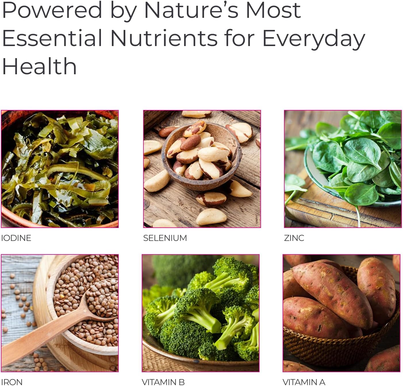 Livingood Daily Multivitamínico Metilado para Mujeres y Hombres, 60 Cápsulas