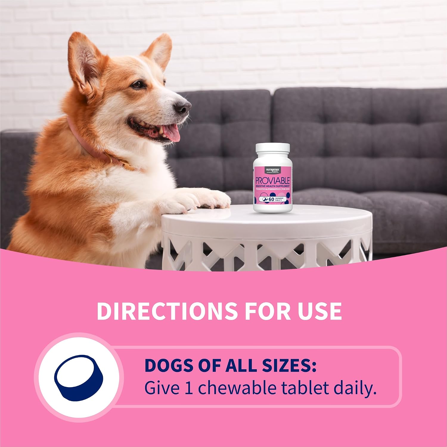Nutramax Proviable Probióticos para Perros - 60 Comprimidos Masticables