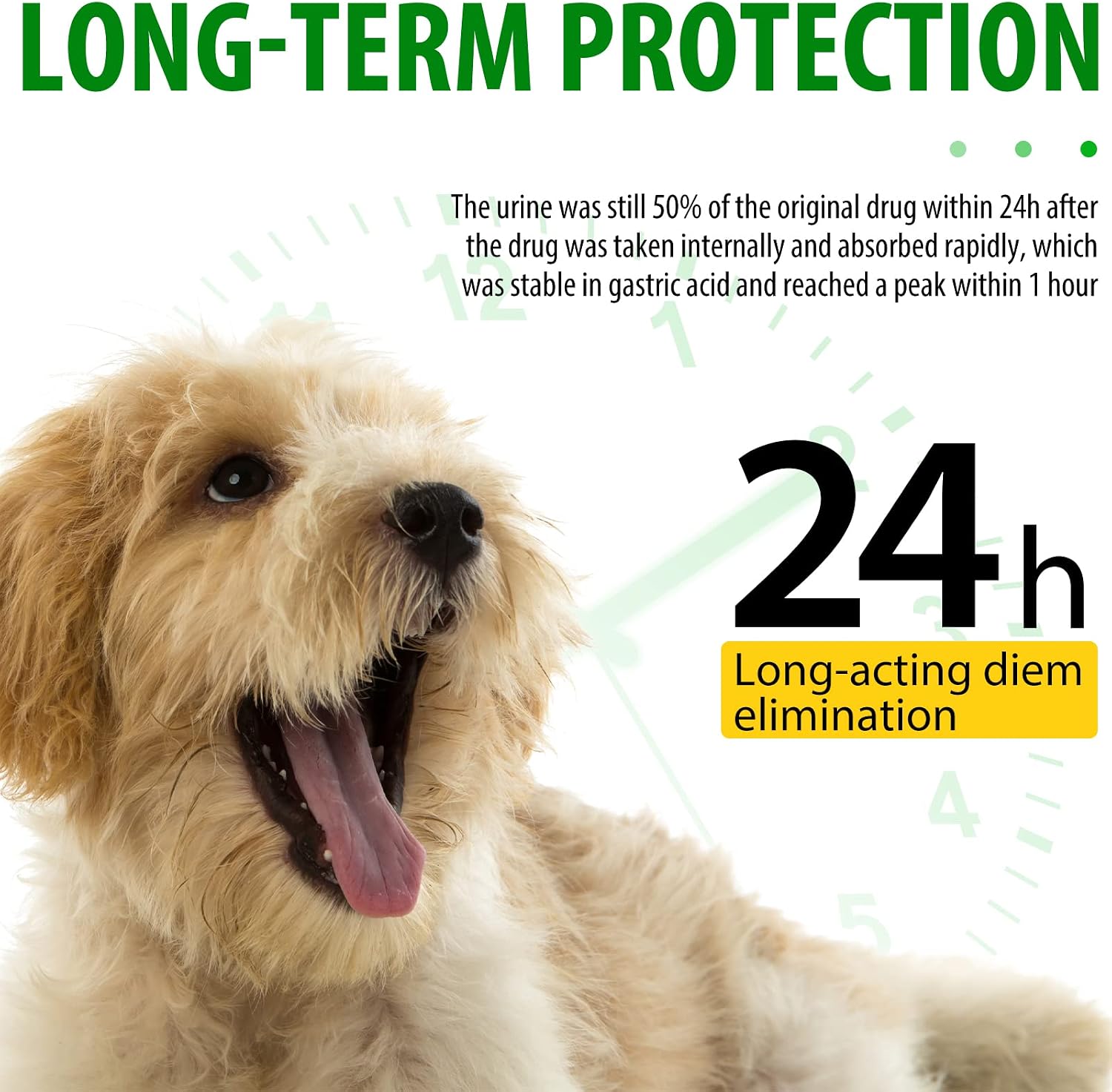 Antibióticos Naturales para Perros – Alivio de Alergias y Picazón, Suplemento Multivitamínico, Sabor a Bacon – 60ml