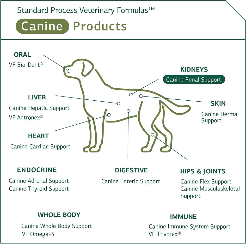 Standard Process Canine Renal Support – Suplemento para perros para la salud de riñones, hígado y corazón – 3.9 oz (70 porciones)