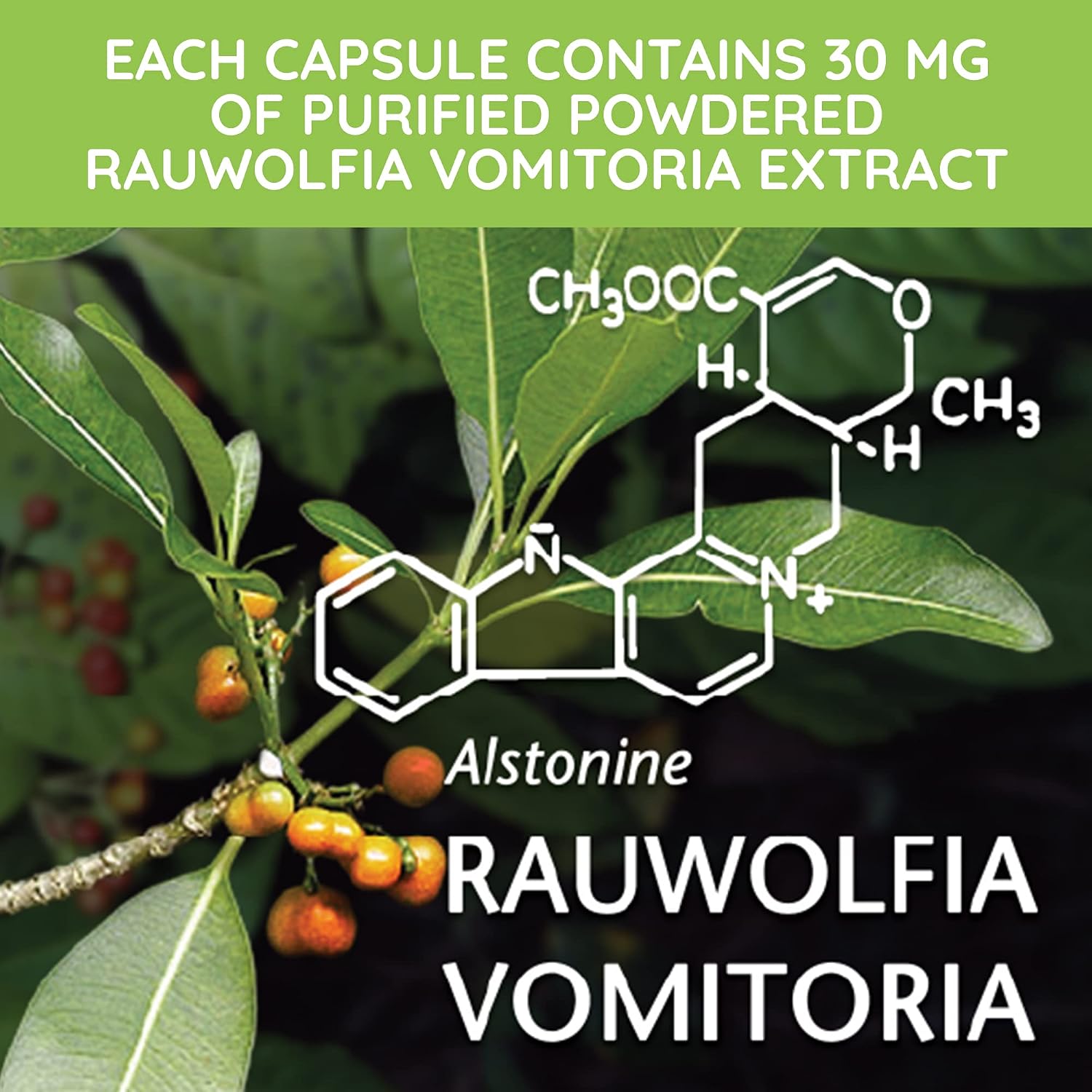 Beljanski Rovol V - Extracto de Rauwolfia Vomitoria - 100 Cápsulas