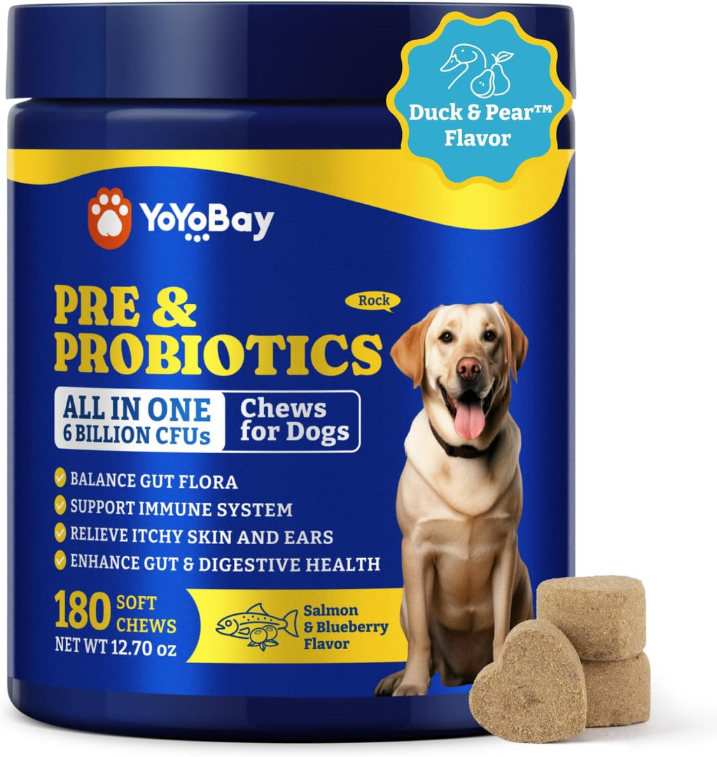 YoYoBay Probióticos para Perros - 180 Chews Blandos Sabor Salmón y Arándano - 6 Mil Millones de UFC con Prebióticos y Enzimas Digestivas