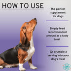 PET CARE Sciences Suplemento para la Incontinencia en Perros con Arándano Rojo - 55 Masticables Blandos