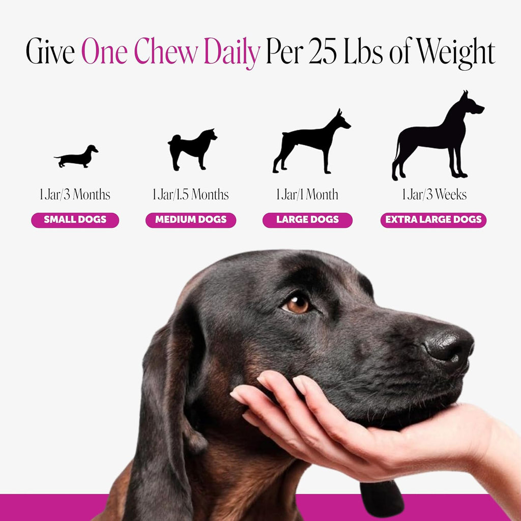 Suplemento Multivitamínico 10 en 1 para Perros con Glucosamina y Probióticos - Apoyo para Articulaciones y Cadera, Salud Digestiva, Inmunidad, Corazón y Piel - Vitaminas Diarias y Omega-3 (Sabor a Mantequilla de Maní, 90 unidades)