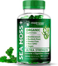 WELLNESS LABSRX Gominolas de Musgo Marino, 3200mg Irish Sea Moss Sabor a Baya Mixta con Bladderwrack y Raíz de Bardana - Apoyo para la Piel, Energía e Inmunidad - 90 Unidades