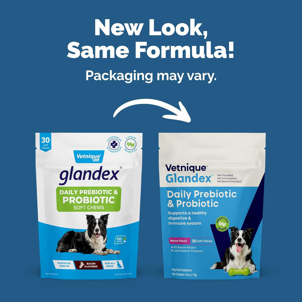 Vetnique Glandex Probióticos Masticables para Perros - 5 Cepas, Prebióticos y Enzimas Digestivas - Salud Intestinal e Inmunológica - 30 Masticables
