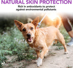 Vet's Best Snacks Masticables con Levadura de Cerveza y Ajo, Omega 3 para Perros, 60 unidades