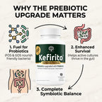 Kefirito Daily Symbiotic Formula – Suplemento Simbiótico Diario con Probióticos y Prebióticos, 60 Cápsulas