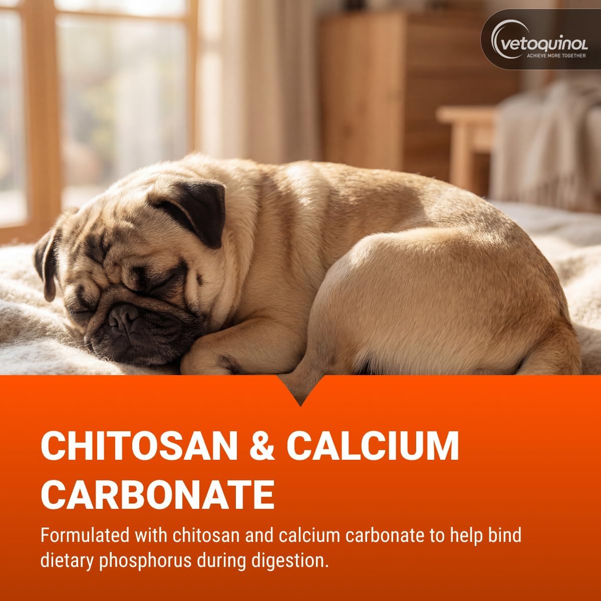 Vetoquinol Epakitin 300g – Suplemento para Soporte Renal en Perros y Gatos