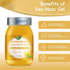 Gel de Musgo Marino con Ashwagandha y Sabor Mango - QANLOI 425g