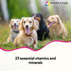 Breeder's Edge In Between for Her, Suplemento multivitamínico diario para perros y gatos reproductores, 90 comprimidos para gatos y perros pequeños