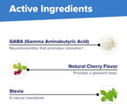 Superior Source GABA 100 mg - 100 Comprimidos Sublinguales